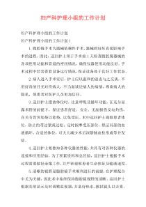 妇产科护理小组的工作计划