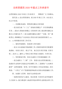 自然资源局2020年重点工作承诺书