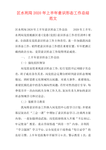 区水利局2020年上半年意识形态工作总结范文