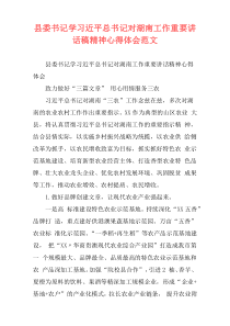 县委书记学习近平总书记对湖南工作重要讲话稿精神心得体会范文