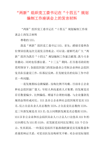 “两新”组织党工委书记在“十四五”规划编制工作座谈会上的发言材料