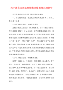 关于落实巡视组反馈意见整改情况的报告