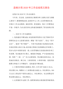 县统计局2020年工作总结范文报告