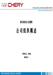 公司组织概述(080717)