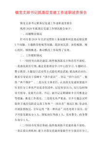 镇党支部书记抓基层党建工作述职述责报告