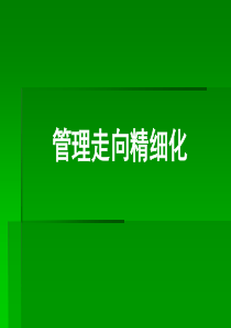 精细化管理经典实用课件精细化管理的系统原则及参考工