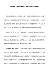 心得体会：坚持党建引领-实现乡村振兴(最新)