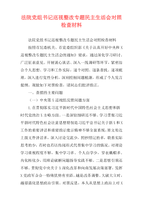 法院党组书记巡视整改专题民主生活会对照检查材料