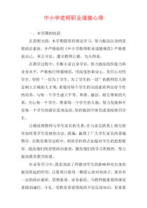 中小学老师职业道德心得