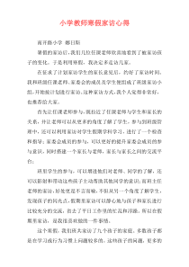 小学教师寒假家访心得