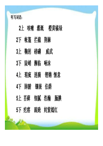 《小学低年级语文识字写字教学策略》教师培训提纲