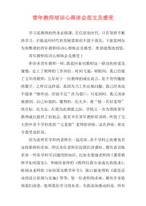 青年教师培训心得体会范文及感受