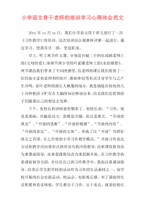 小学语文骨干老师的培训学习心得体会范文