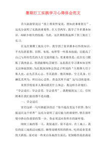 暑期打工实践学习心得体会范文