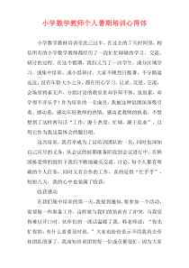 小学数学教师个人暑期培训心得体