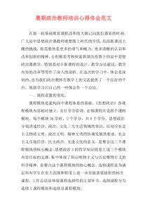 暑期政治教师培训心得体会范文