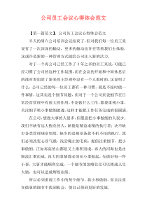 公司员工会议心得体会范文