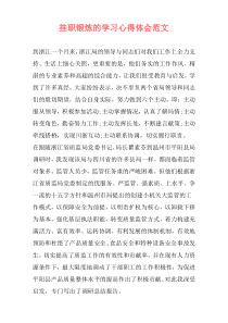 挂职锻炼的学习心得体会范文