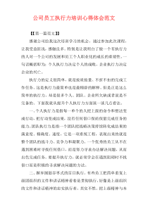 公司员工执行力培训心得体会范文