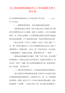 区人民政府政务服务中心工作总结范文和工作计划