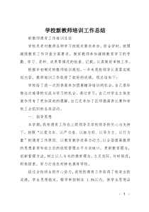 学校新教师培训工作总结