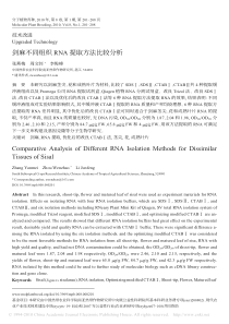 剑麻不同组织RNA提取方法比较分析