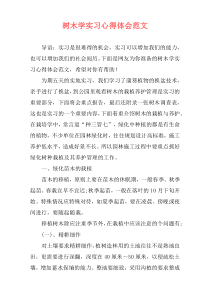 树木学实习心得体会范文