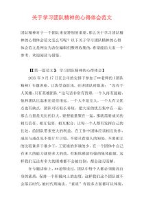 关于学习团队精神的心得体会范文