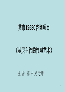 高效能主管的管理艺术祁中灵