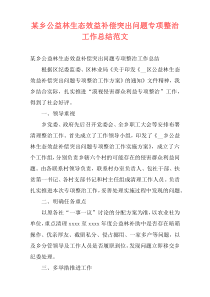 某乡公益林生态效益补偿突出问题专项整治工作总结范文