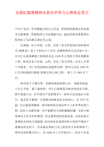 全国红旗渠精神永放光芒学习心得体会范文