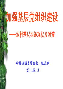 加强基层党组织建设_——农村基层组织现状及对策