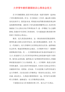 大学青年教师暑期培训心得体会范文