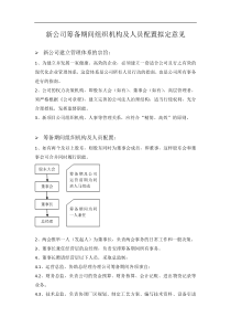 新公司筹备期间组织机构及人员配置拟定意见