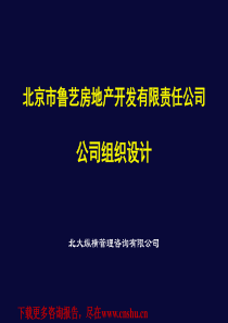 北大纵横-鲁艺-公司组织设计报告