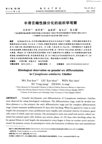 半滑舌鳎性腺分化的组织学观察