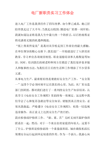 电厂新职员实习工作体会