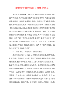 最新青年教师培训心得体会范文