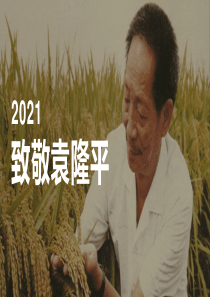 主题班会：2021致敬袁隆平