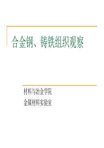 合金钢、铸铁组织观察