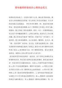 青年教师研修培训心得体会范文