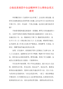 公检法系统四中全会精神学习心得体会范文感受