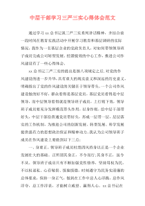 中层干部学习三严三实心得体会范文