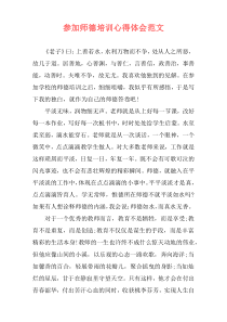 参加师德培训心得体会范文