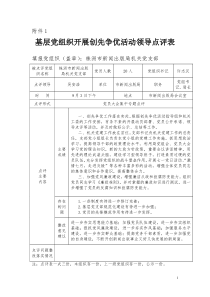 基层党组织开展创先争优活动领导点评登记表