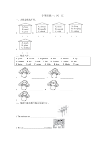 pep(人教)五年级英语下册-词汇-专项练习