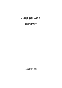 石家庄有机硅项目商业计划书