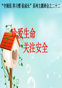 《珍爱生命--关注安全》主题班会.ppt