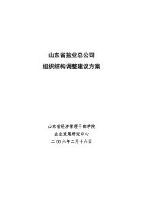 山东省盐业总公司组织结构调整建议方案v060216