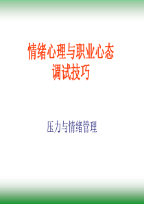 情绪心理与职业心态调试技巧（PPT94页)